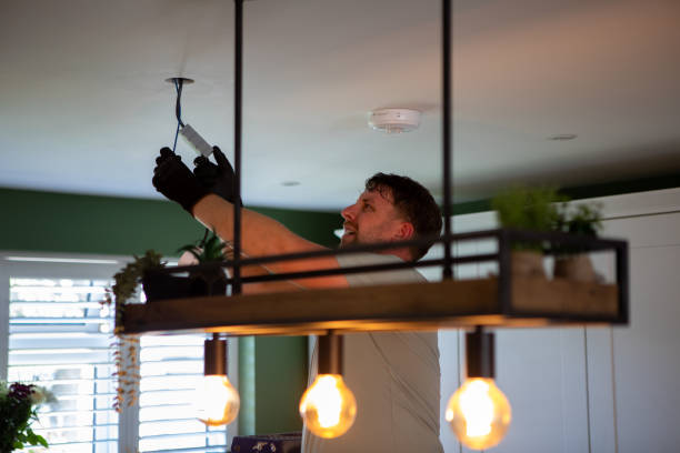 Best Electric Panel Repair  in Woodbine, GA